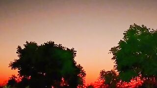 village life video