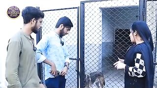 Fantestic funny interview funny 2023