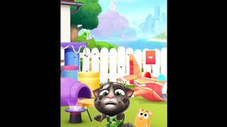Tom cat video||