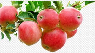 A for apple