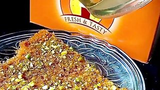 funny videos