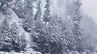 Kalam , Swat
