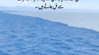 surah rahman beautiful translation | urdu translation | Translation of surah rahman