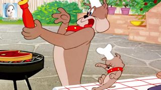 Tom and Jerry| funny tom and jerry| funny cartoon