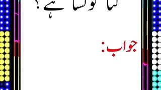 +National animals#islamic phylia.question answer