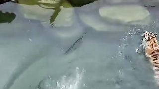 Awesome video ????