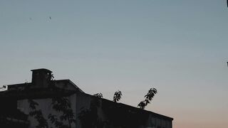 my fast vlog