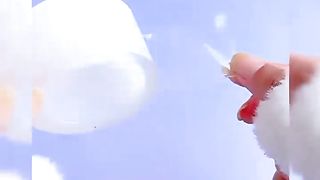 Easy paper craft / paper craft / school hacks / easy to make / absolute Fun