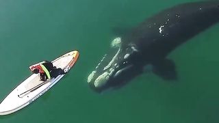 Awesome video ????