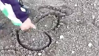 Veriy Funny shorts vedeo