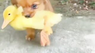 Awesome video ????