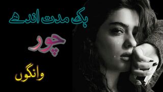 ہک مدت اندھے چور وانگوں | Punjabi Poetry | Riaz Mohsin