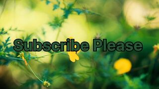 Meditation video ll Meditation Music ll flowers music ll Relaxed Music