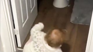 Try not to laugh funny animal video