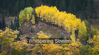 Relax and Unwind: Whispering Stream Meditation Music for Stress Relief
