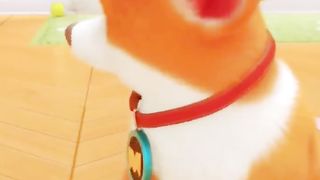 Moco Dog Funny Cartoon Status|Cartoon Funny Status Video