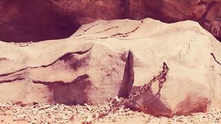 Epic Battle Scene ???? Heart Touching Video - Hollywood Action Scene - Bao Rami Status.
