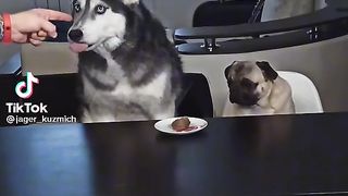 no one can.
