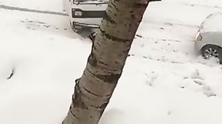 Car accident watching the end????