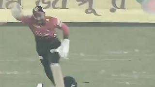 Cricket fans