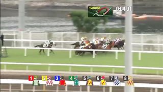 Horse race