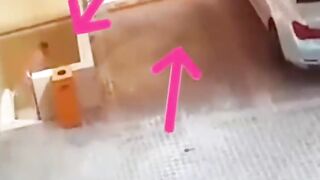 Best video of the day