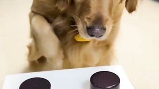 Wait for it ????????