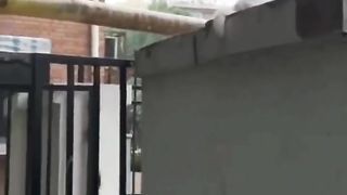 Best funny cat and dog video funny crazy pet animals fail ops reaction moments viral clips video, #trending #animals #funnyreels