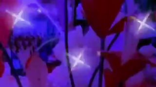 flower lovers