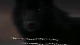 Tiktok music