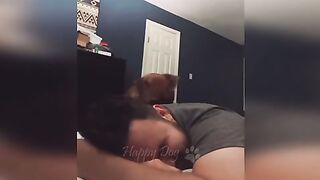 Funny dog and cat