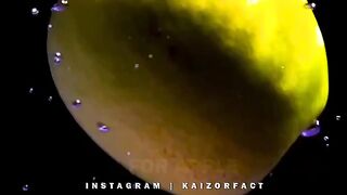Beautiful video