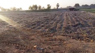 Winter season video vlog of winter