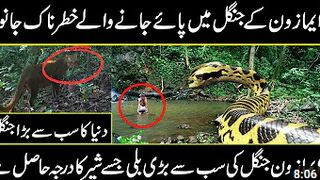 amazing and uncovered facts about world largest amazon jungles and biggest animals | Urdu cover