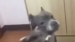 Смешно.