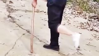 Viral funny video????????????