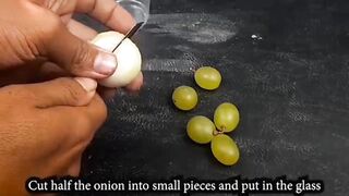 How to grow grapes plants at home