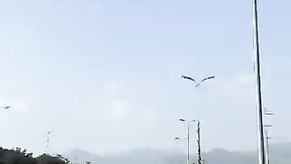 My beautiful city