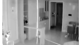 Short video of cat
