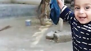 Veriy Funny  ھھھھھھھ shorts Vedeo