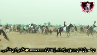 #Beautiful#A herd of #horses