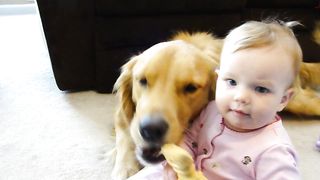 Cute little baby with a cute dog