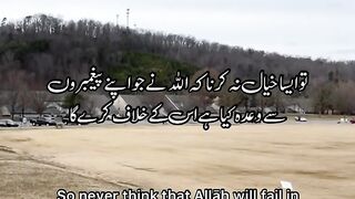 Surah Ibrahim Ayat 47-49 _
