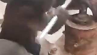 Monkey doing a awesome job ????