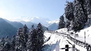 Snowcapped Roads in Gulmarg | #Snow #Gulmarg #Kashmir