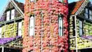 Dubai Miracle Garden