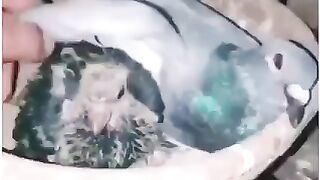 A mother's sacrifice ????