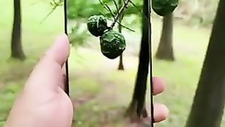 Sumsang Ultra Camera Results Real Camera Shorts video