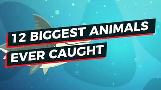 50 SCARIEST Animals In The World