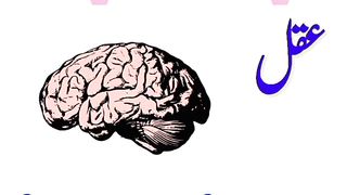 Educational knowledge
